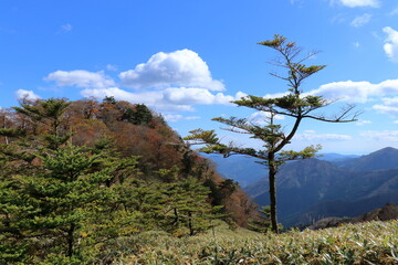 伊吹山　山頂でリフレッシュ　秋　（四国　高知県）