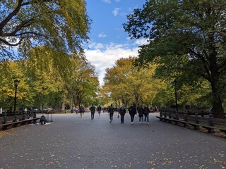 Fototapeta premium Central Park in Fall, New York, NY - October 2022