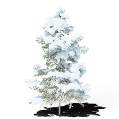 Spruce pine in winter with show. Hi-res, photorealistic 3d render for architecture visualizations. Holiday concept. Natural sun lighting and shadow.