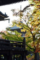 京都 真如堂の境内