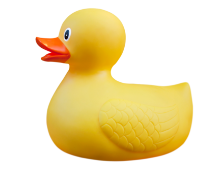 Beautiful yellow rubber duck.