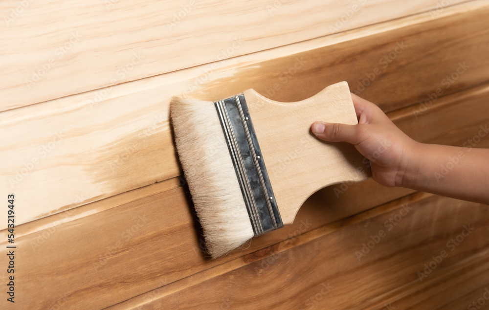 Wall mural Person working,hand holding a brush applying varnish paint on a wooden