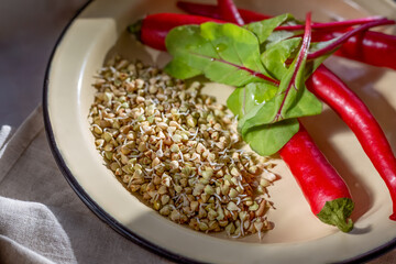 Buckwheat sprouts, chili peppers and Radicchio lettuce leaves in a plate in bright sunlight close-up. Veganuary. Healthy lifestyle. Vegetarianism. Veganism. Gluten-free diet