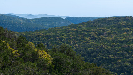Fototapeta na wymiar Lost Maples State Natural Area, Fall Foliage in the Texas Hill Country