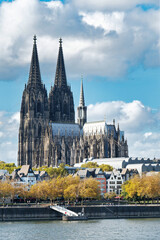 view of the old town and cologne cathedral with autumn colored trees