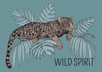 The leopard lies on a tree branch among tropical leaves. The inscription "Wild Spirit". Graphic modern vector illustration.