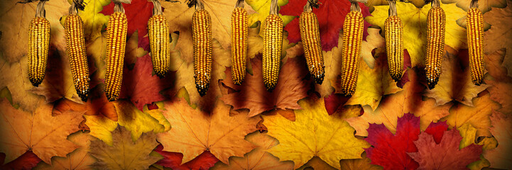 Corn cobs hanging over a bed of autumn fallen leaves