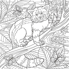 Coloring page for adults. Red panda bear sitting on tree. Vector illustration.