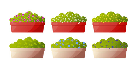 Green plants in colorful flower boxes vector illustrations set. Collection of drawings of pink, blue, white, yellow flowers in red and brown flower boxes on white background. Nature, gardening concept