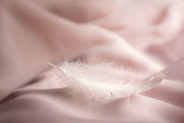 white feather on pink fabric. powdery color. gentle pink background. ease.