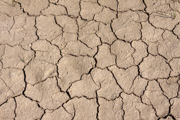Ausgetrocknete und aufgerissene Erde, Toskana, Italien