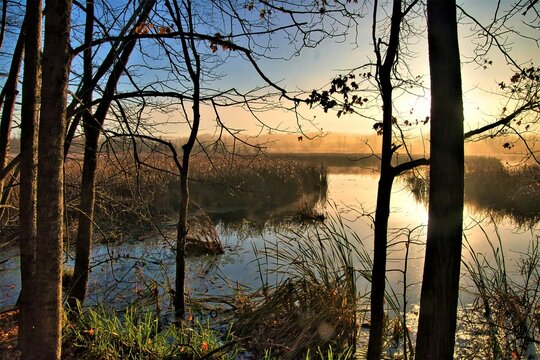 Beyond a misty background, the sun rises over a glassy forest pond along the Ice Age Trail near Slinger, WI.