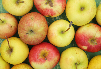 red and yellow apples on the green wooden background