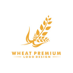 wheat logo icon, grain wheat agriculture logo design template isolated on white background