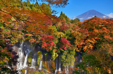 青空に映える富士山と紅葉の白糸の滝
