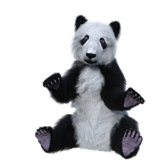 3D rendering of a giant panda cub sitting with arms raised isolated on transparent background. © IG Digital Arts