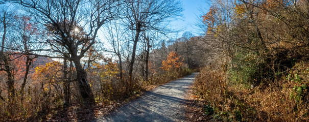 Frying Pan Mountain Lookout Tower, Blue Ridge Parkway, Smoky Mountains National Park, North Carolina