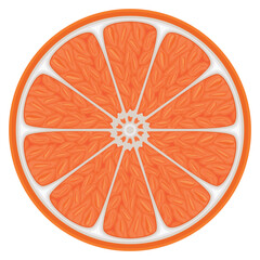 Fresh Perfect Orange Slide Isolated