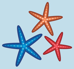 Set of 3 Colorful Starfish