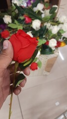 bouquet of roses