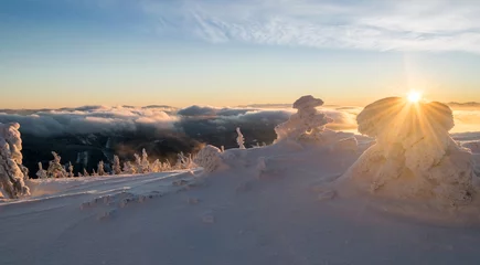Fotobehang Winter landscape in Czech mountains. Snowy nature during sunrise. Frozen mountains and trees. Lysa hora lies in Beskydy mountains. This is peak is real tourist attraction and high frequent place. © Hans
