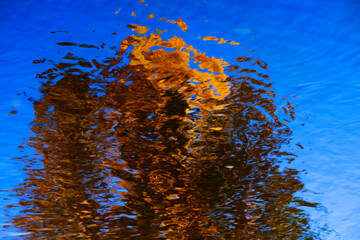 Reflection of Fall Trees in Blue Water Texture