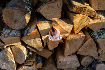 concept of heat energy cost. euro banknotes between the logs of wood