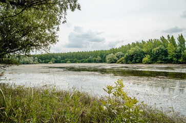 A panoramic view of the constructed artificial lake.
