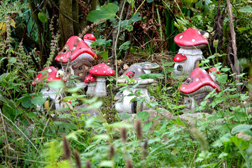 Village miniature champignons