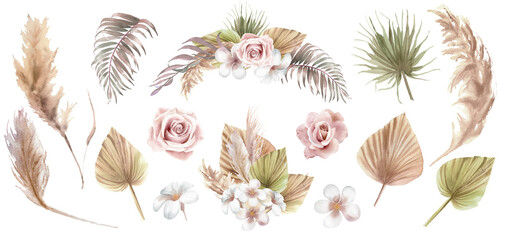 Watercolor boho floral bouquet and elements of pampas grass branches, palm leaves, dry flower, roses in pastel colors. Hand painted illustration isolated on transparent background. Bohemian elements 
