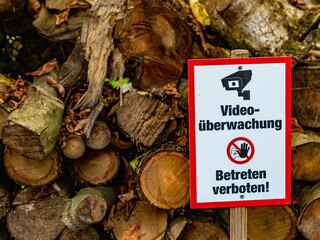 Überwachtes Brennholz auf einer. Wiese     © focus finder