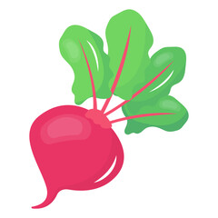 A turnip icon in flat editable design 