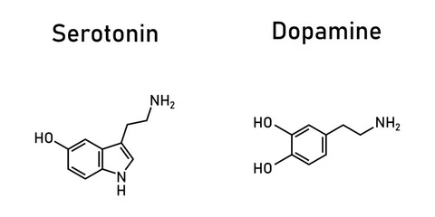 Dopamine and serotonin molecular structure. Scientific vector illustration isolated on white background. © SAMYA