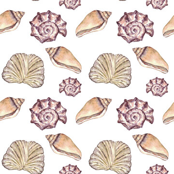 Watercolor sea shell seamless pattern. Hand drawn seashells texture vintage ocean background.