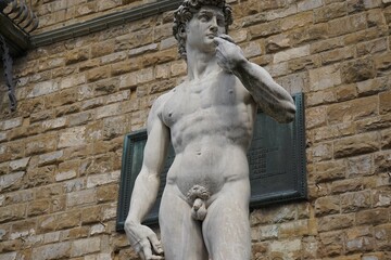 Sculptuur van de David van Michelangelo, Italië