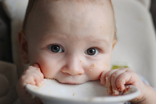 Baby boy biting plate portrait