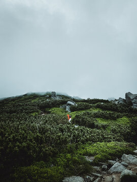 Tourist hiking in mountains, walk into clouds