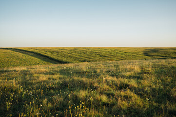 Field on hills with grass at sunset. Background. A beautiful photo of a landscape with a field.