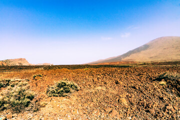 landscape in the desert