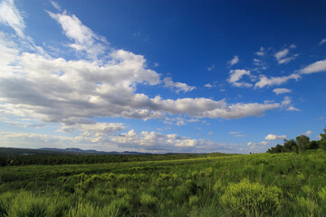 Obraz premium Paisaje estepario mediterráneo en primavera, con cielo azul con algunas nubes. Cieza (Murcia-España).