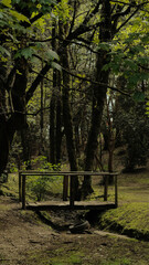 Harnecker park 3 