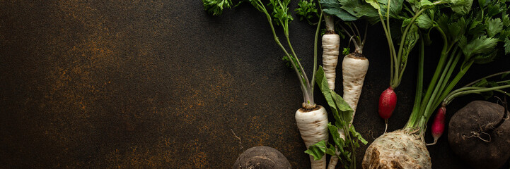 Parsley and selera roots with tops, black and red radish close-up on a brown background, top view, healthy autumn seasonal roots banner, copy space