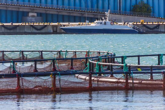 Round fish farm cage in the bay of the sea.