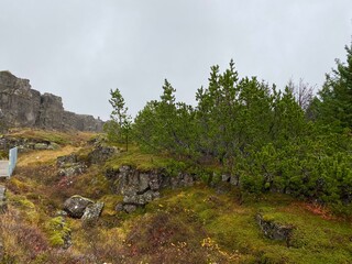 Beautiful Landscape in Iceland 