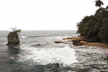 Wild beach in Gandoca Manzanillo National Park, Costa Rica on a cloudy and rainy day. South Caribbean. Tropical landscape of a beach with palm trees and rocks. Viewpoint.