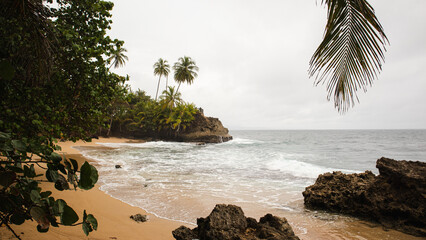 Wild beach in Gandoca Manzanillo National Park, Costa Rica. South Caribbean. Tropical cloudy beach landscape. Beach with palm trees and rocks.