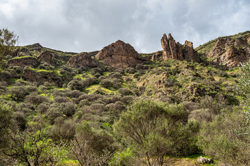 Volcanic landscape of Caldera de Bandama crater with circular hiking trail. Gran Canaria, Spain.