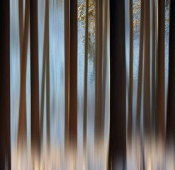 Lines, forest, wald , striche, verschwommen, blau, hellblau, babyblau, braun gestrichelt,...