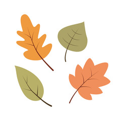 Fototapeta premium Autumn leaves set isolated on white background. Vector illustration cartoon flat style.