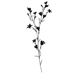 Wild Flower Silhouette. Hand Drawn Floral Illustration